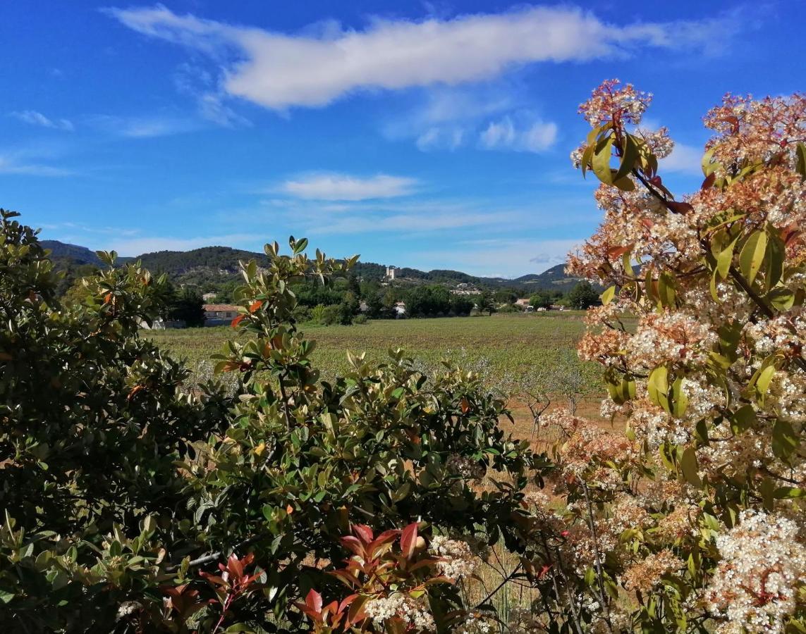 Au Villadior - Vaison La Romaine Екстериор снимка