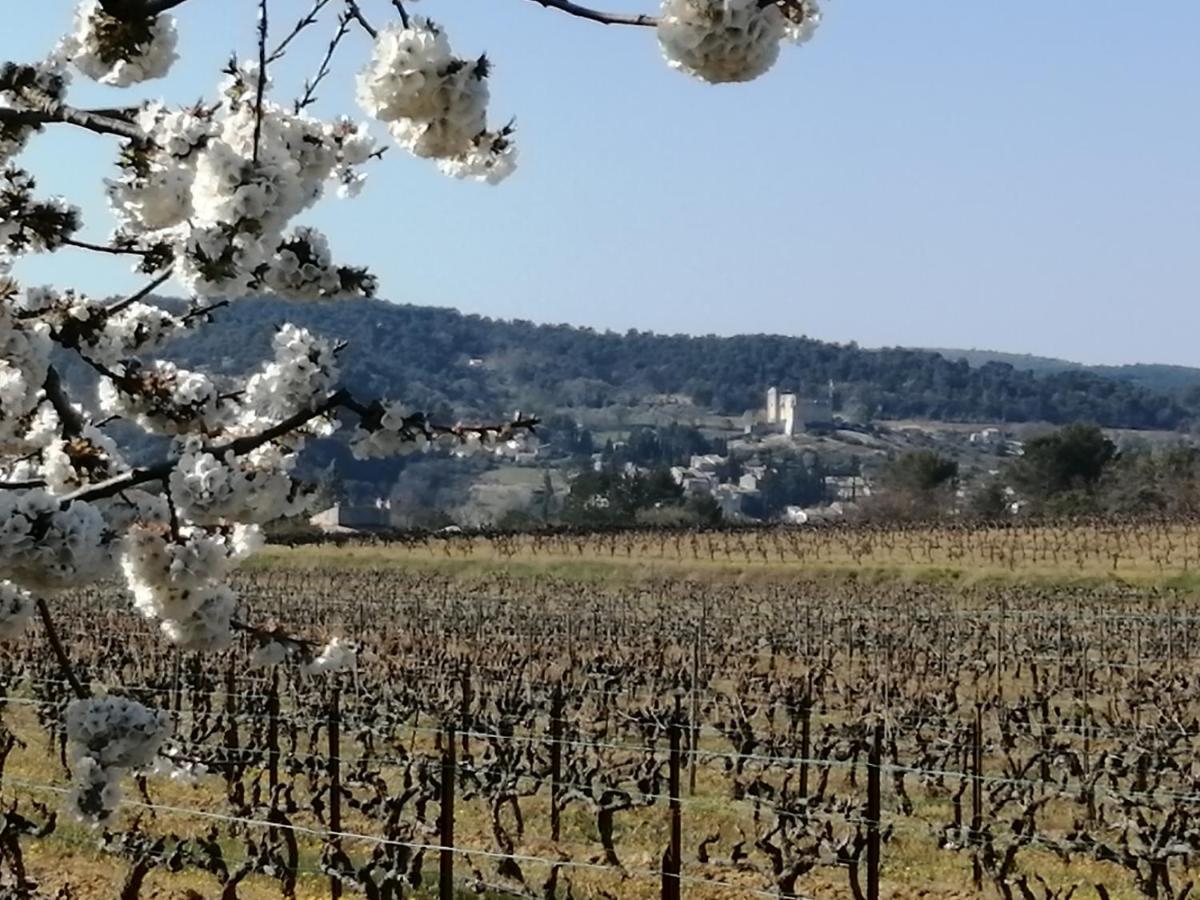 Au Villadior - Vaison La Romaine Екстериор снимка