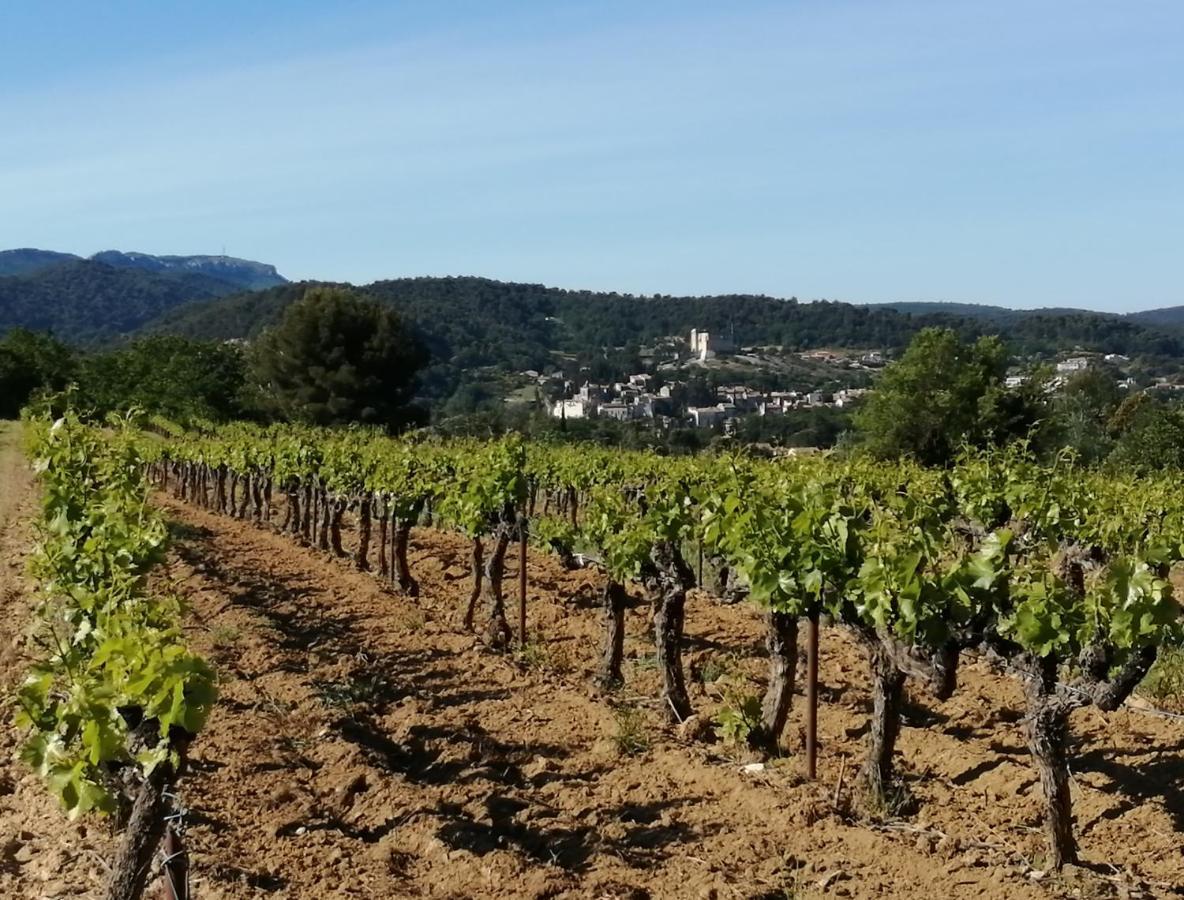 Au Villadior - Vaison La Romaine Екстериор снимка