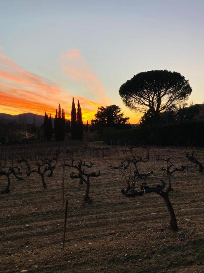 Au Villadior - Vaison La Romaine Екстериор снимка